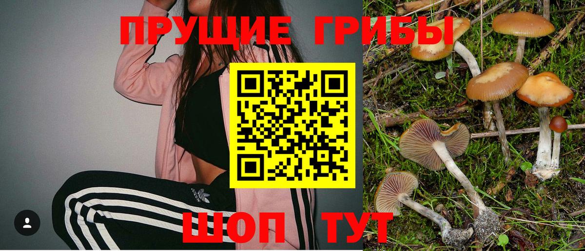 Псилоцибиновые грибы GOLDEN TEACHER  как найти закладки  Белебей  Вход с VPN 